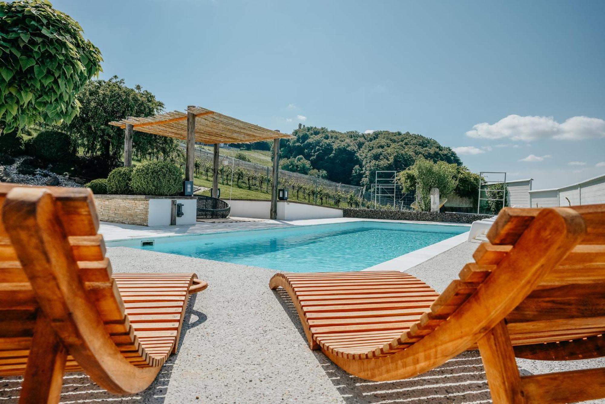 Weingut Holler Chalet Weingarten Spielfeld Εξωτερικό φωτογραφία